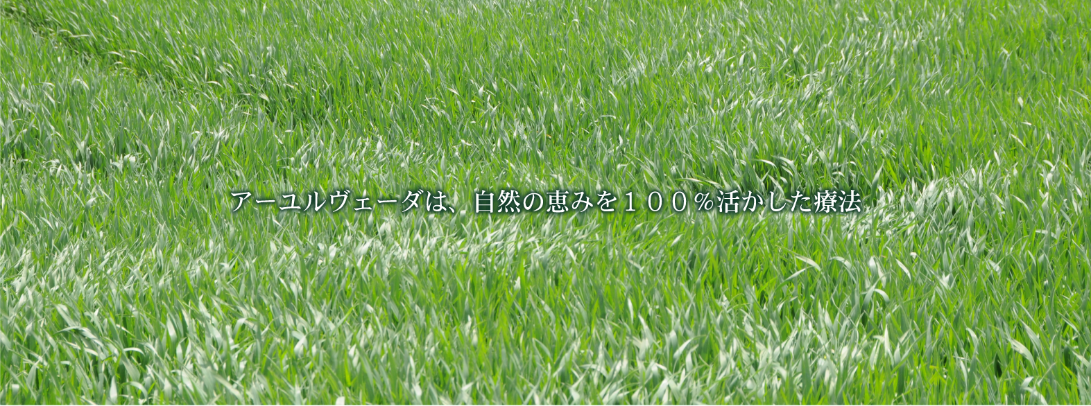 top-03.png