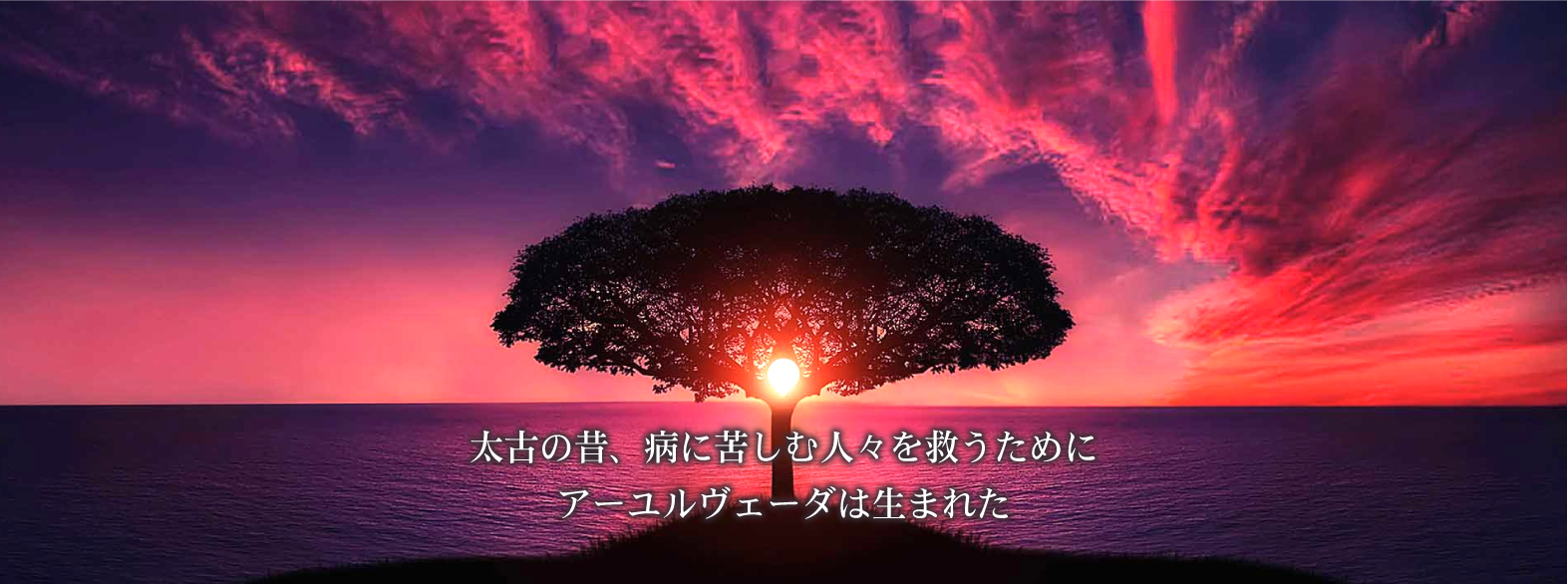 top-02.png